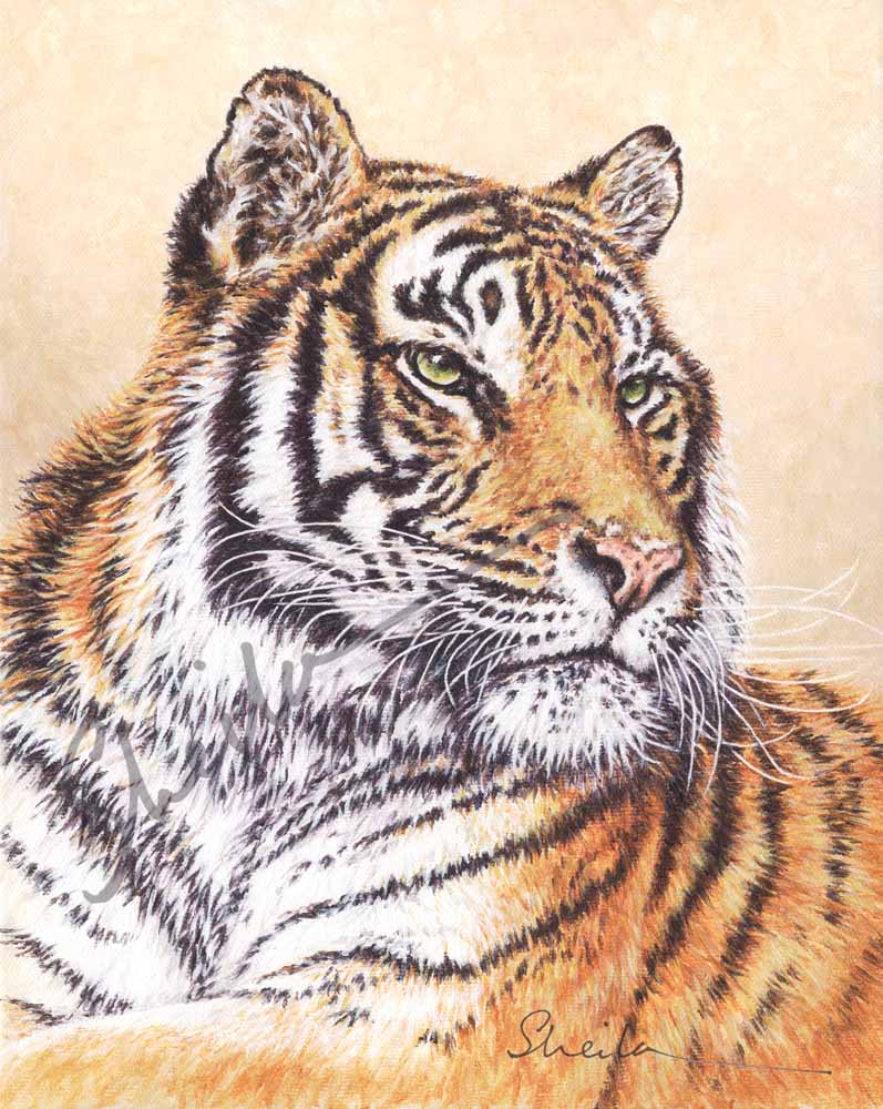 Tigress 2